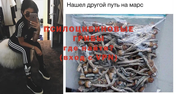 скорость Алзамай
