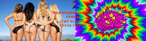 2c-b Карталы
