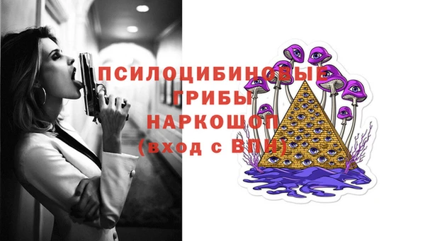 ГАЛЛЮЦИНОГЕННЫЕ ГРИБЫ Каменка