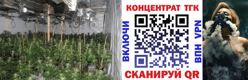 omg ссылка цена наркотик Завитинск ТГК THC oil