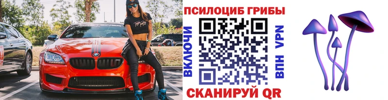 гидра tor  Завитинск  Псилоцибиновые грибы MAGIC MUSHROOMS 